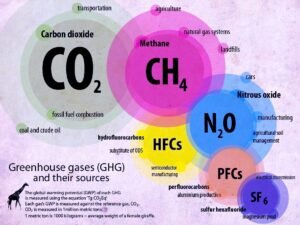 greenhouse-gases-infographic-sources.jpg